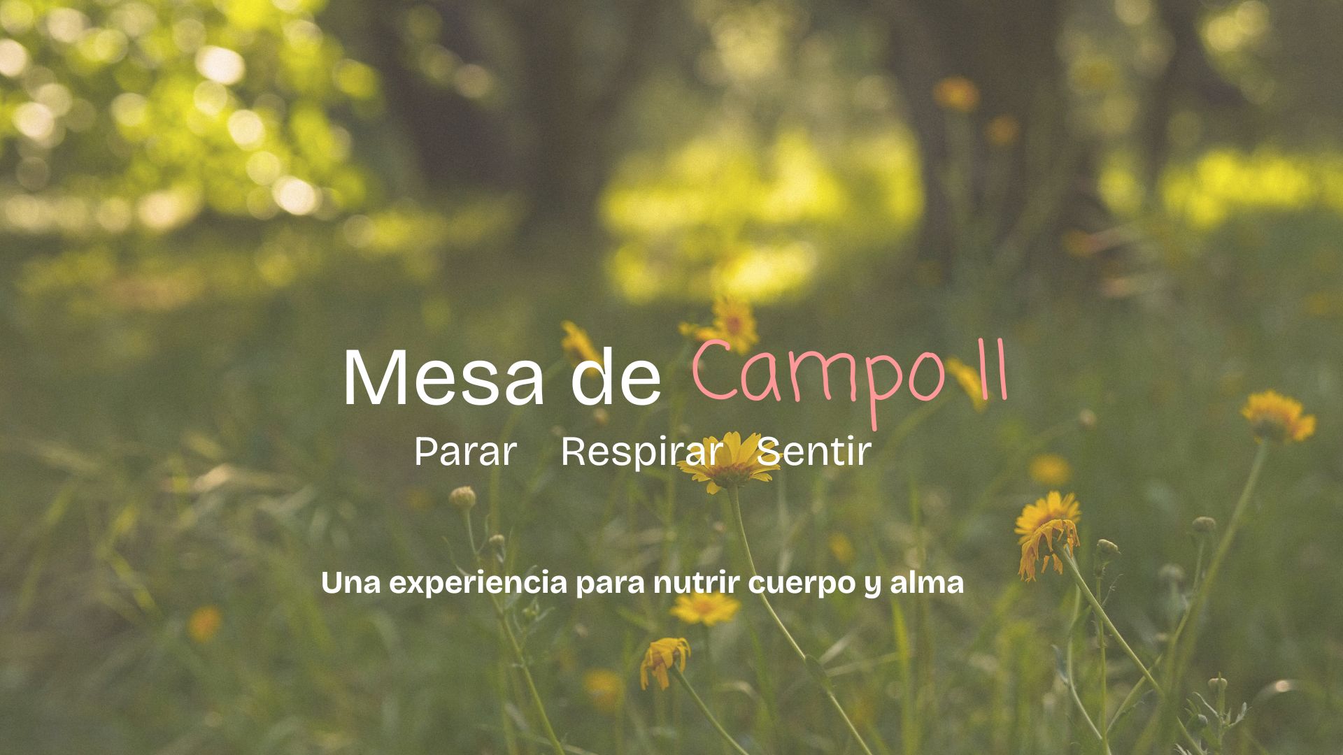 Mesa de cAMPO WEB